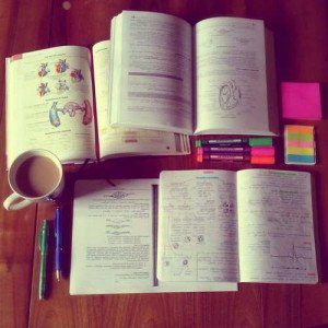 residencia universitaria mixta en Granada